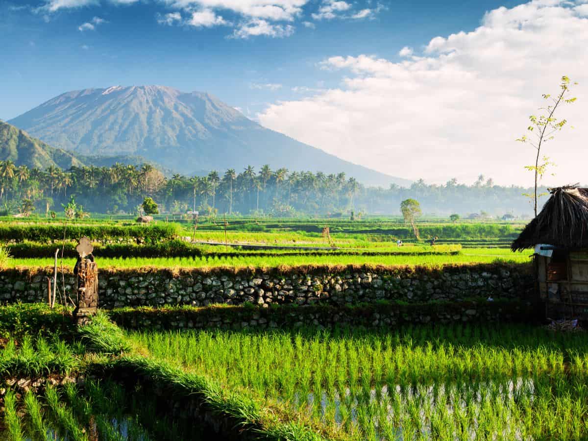 63 Best & Epic Things To Do In Bali