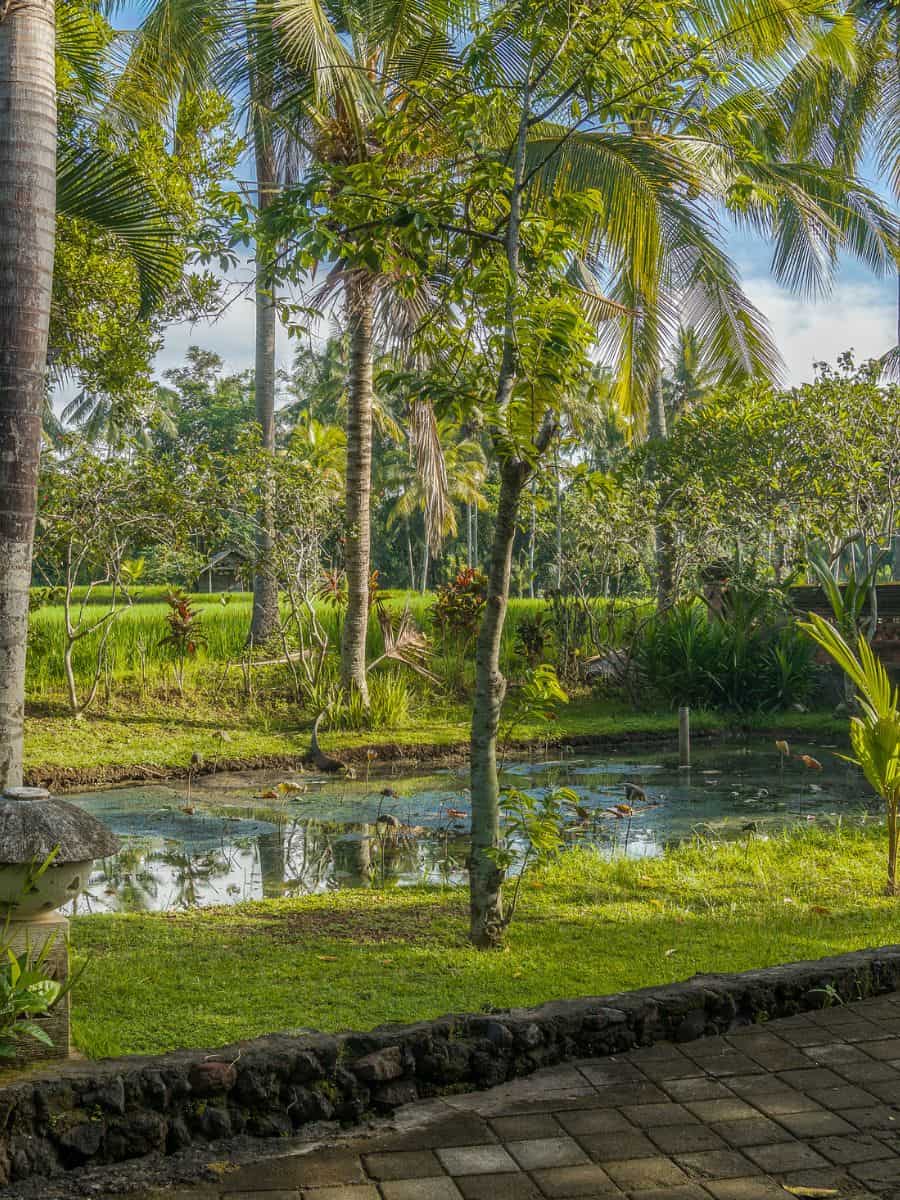 Best Budget Yoga Retreats To Stay At In Bali