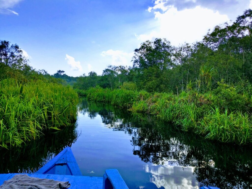 Borneo in April