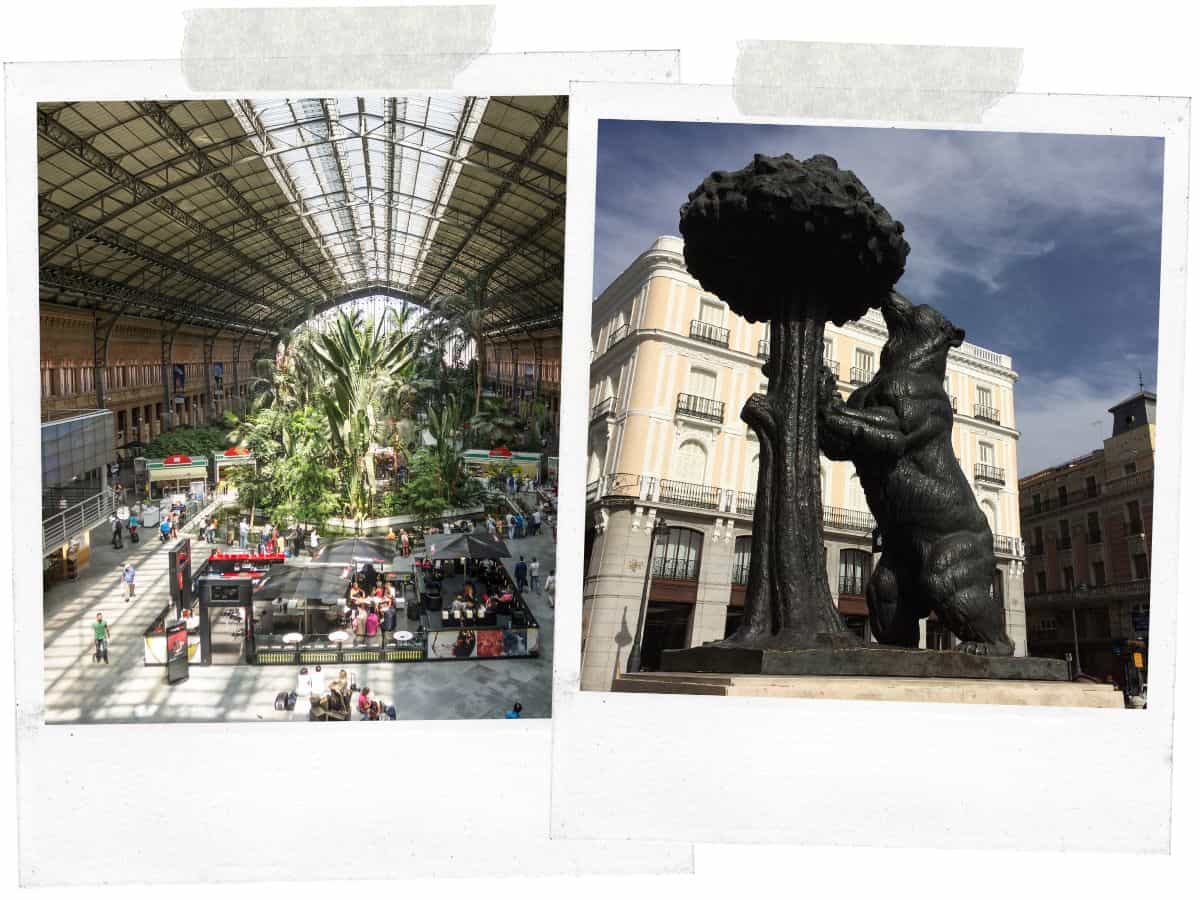 Taking picture of The famous bear statue in Puerta del Sol, Madrid