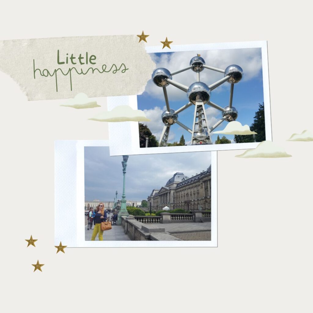 Brussels visual data 2