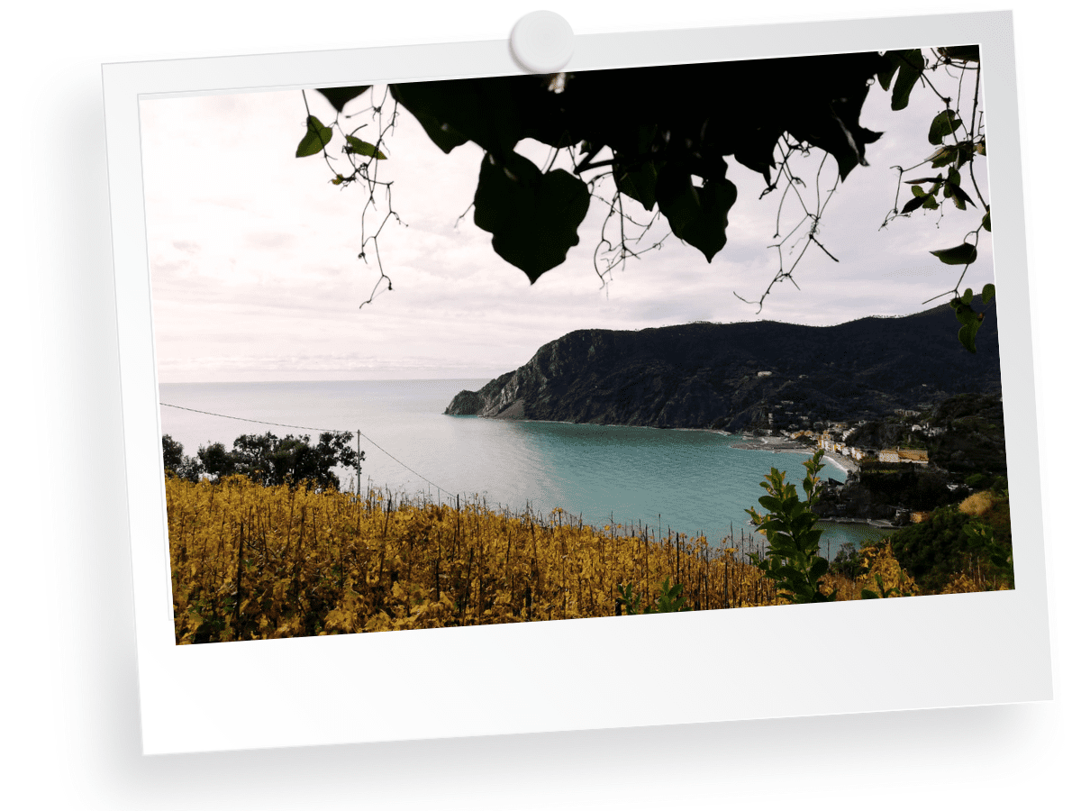 Trekking in From Monterosso, Cinque Terre