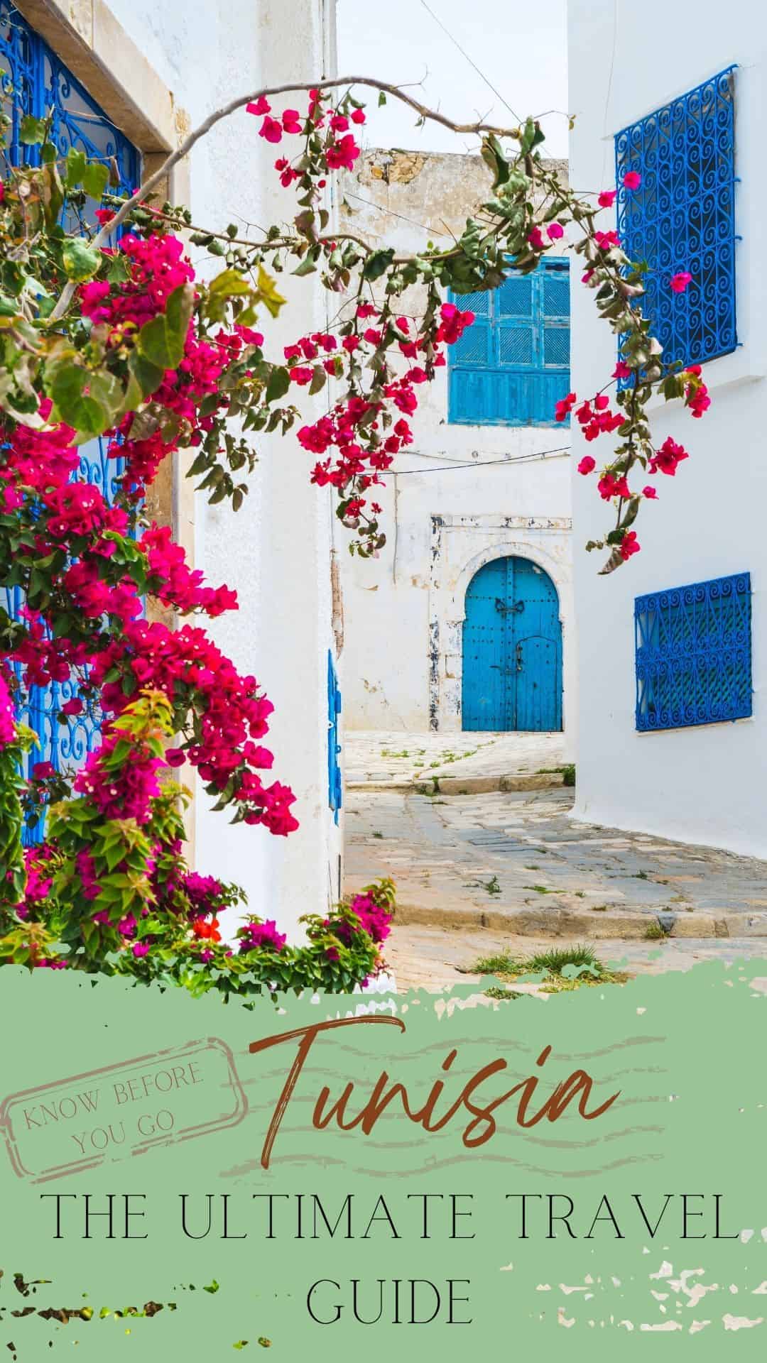 The Ultimate Travel Guide To Tunisia