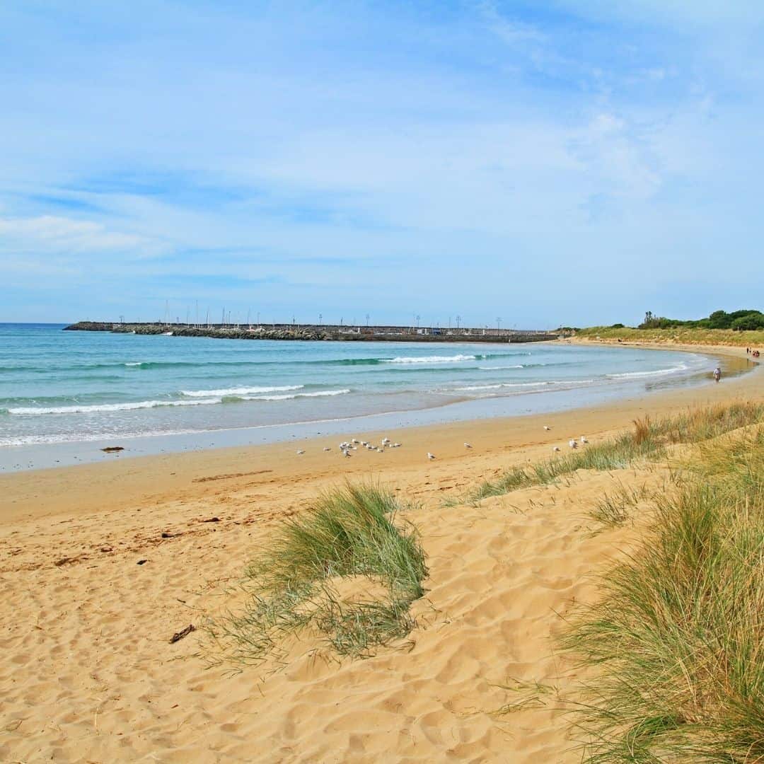 18 Best & Unique Things To Do In Apollo Bay Narcisa Rusu