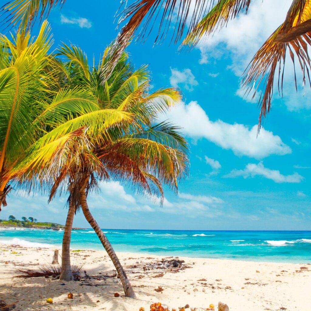 25 Best Beaches In Jamaica [Hidden Gems 2023]