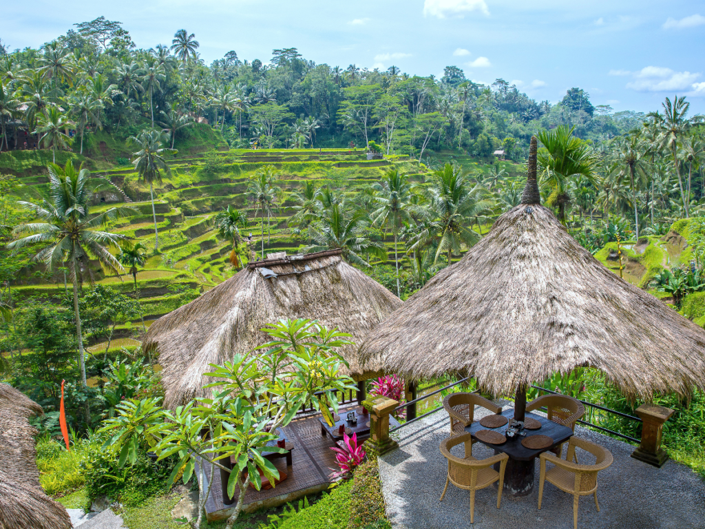 10 Best Luxury Wellness Retreats In Bali [2024] - Narcisa Rusu