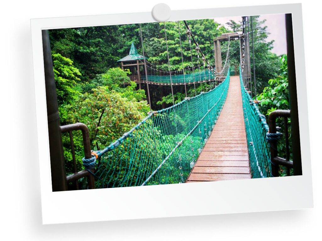 Rainforest hiking trails in Kuala Lumpur, Malaysia