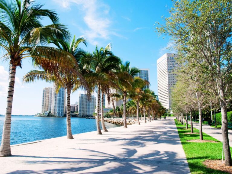 Is Miami Worth Visiting?