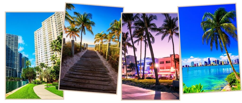 Miami Beach, Lincoln Road, and Downtown Miami