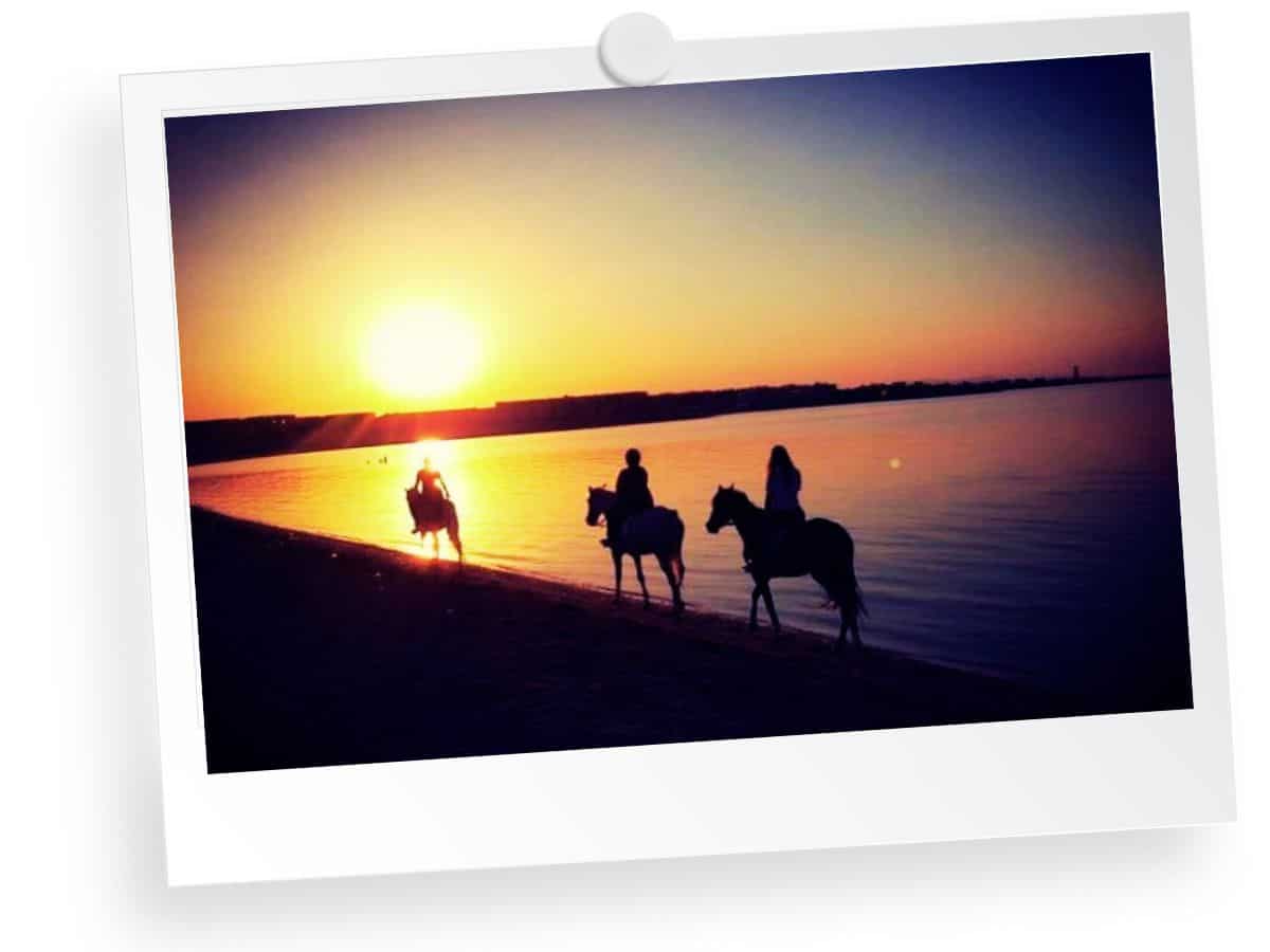 Horse ridding at sunset in Hurghada, Egypt
