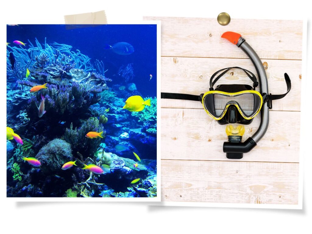 Snorkelling in Hurghada, Egypt