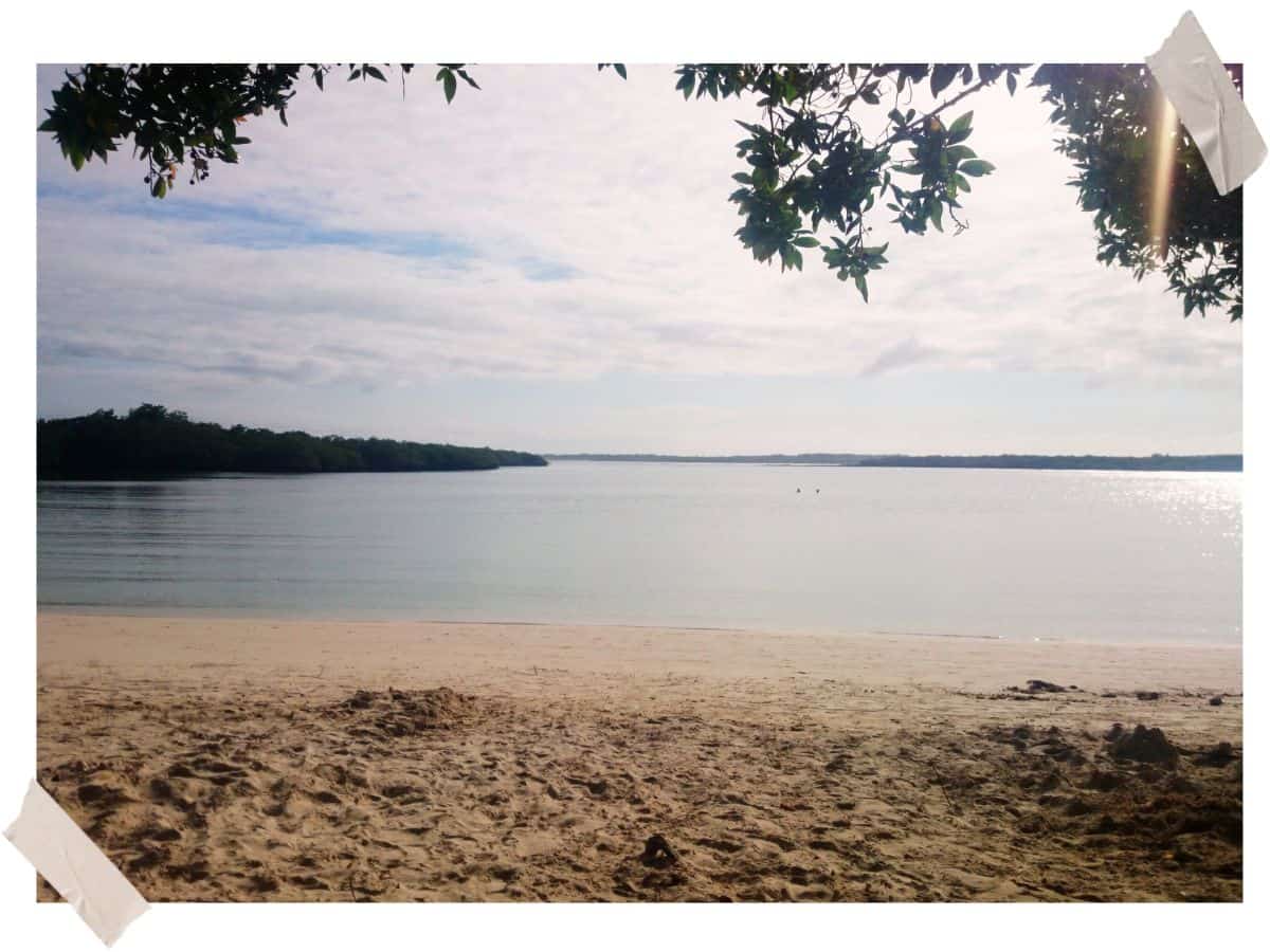 Peaceful day in Tortuga Bay in Ecuador