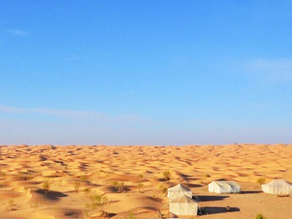 Sahara desert Camp