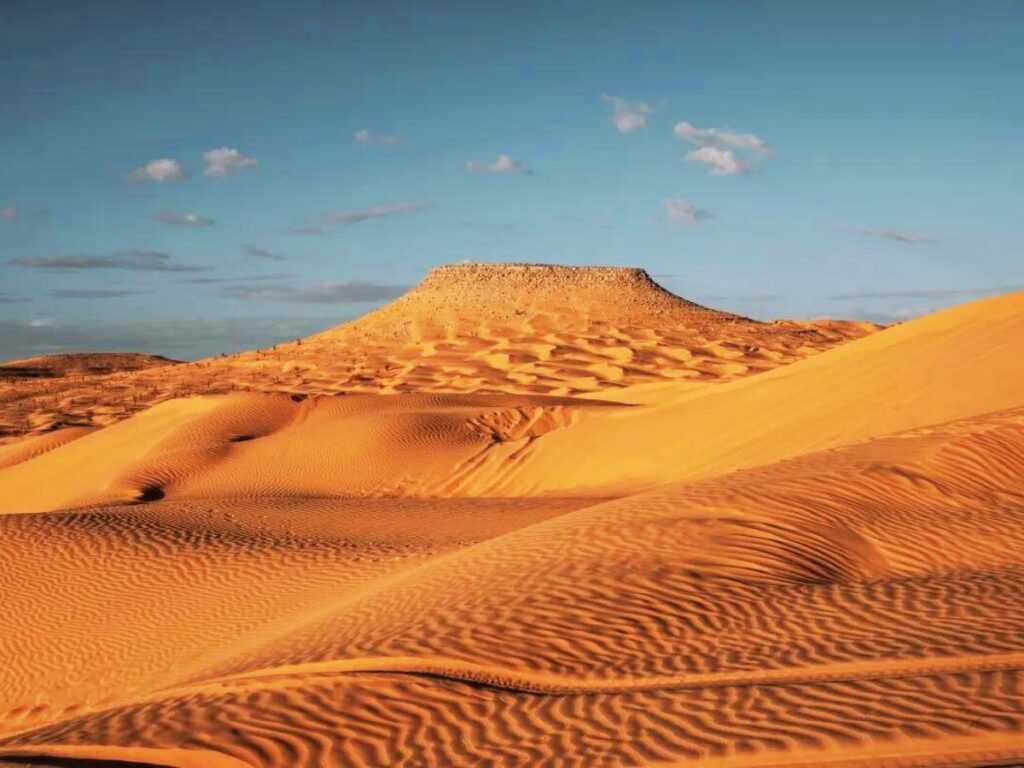 Sahara desert dunes at the sunset